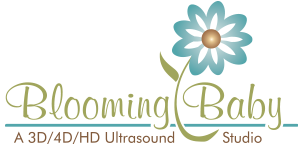 Blooming Baby Ultrasound